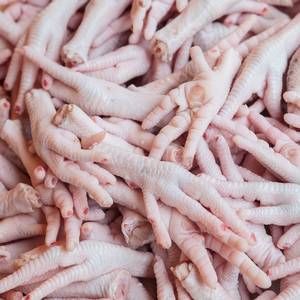 frozen chicken feet