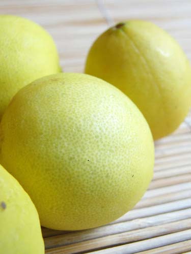 Fresh Lemon