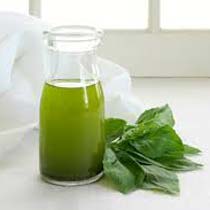 Natural Basil Oil, for Body Care, Skin Care, Feature : Low Cholestrol, Rich In Vitamin