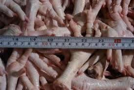 frozen chicken feet