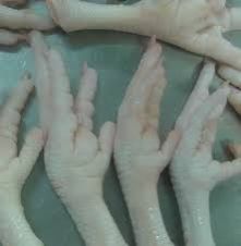 Best Quality Frozen Chicken Feet
