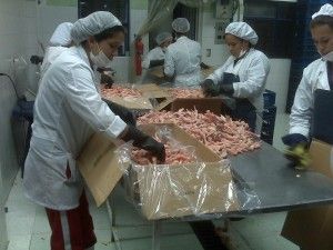 Frozen Processed Chicken Feet