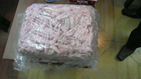 Premium Grade A Frozen Chicken Feet and Paws