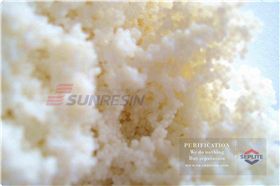 Polymer Chemical Resin