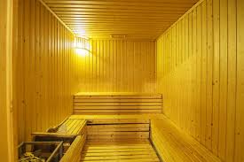 Steam Sauna