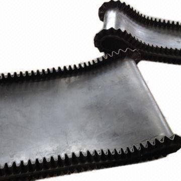 Endless Conveyor Belt