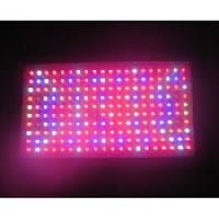 LED Grow Light