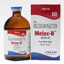 Melox-B Plus Injection
