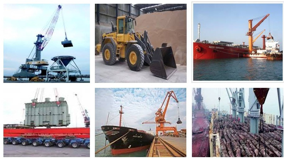 Stevedoring & Bulk Cargo Operations