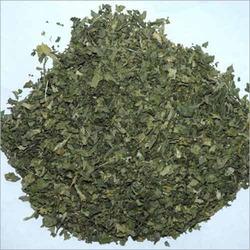 CORIANDER LEAVES AND POWDER