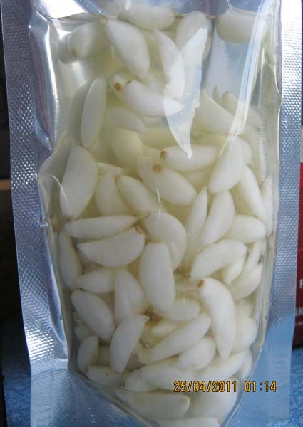 Garlic in Brine, Packaging Size : 45 Kg