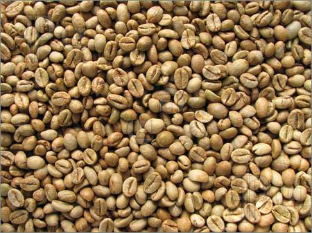 Raw Robusta Coffee Beans
