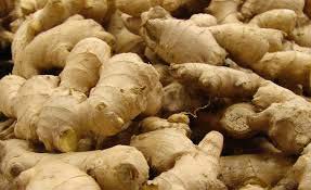 GINGER EXTRACT