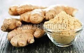 Dehydrated Ginger, Dehydrated Ginger Flakes