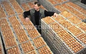 fresh eggs