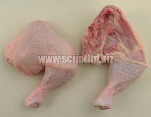 Frozen Chicken Leg Quarter