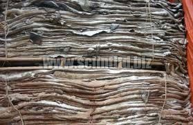 Wet Salted Steer Hides, Heifer Hides, Wet Blue Cattle Hides, Animal Hieds