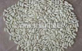 white kidney beans