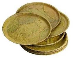 disposable leaf plates