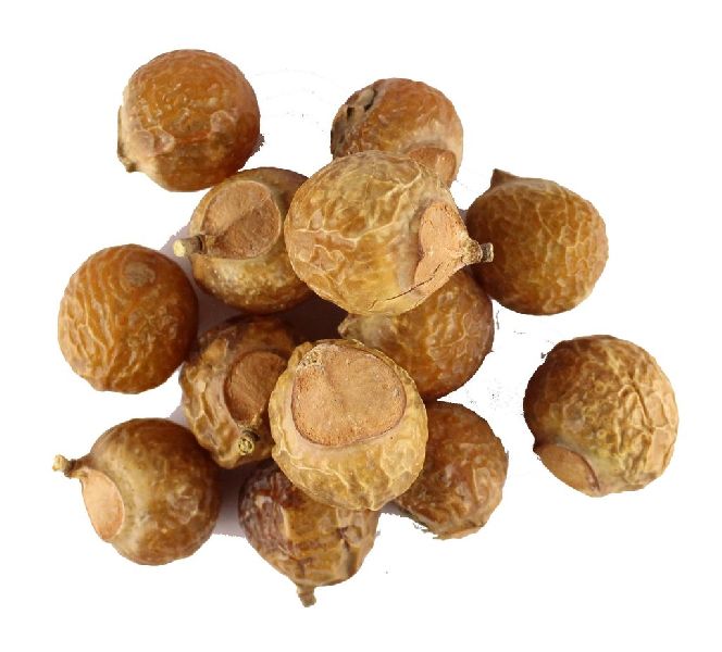 Sanjivni Soap Nuts