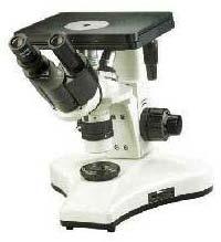 Inverted Microscopes