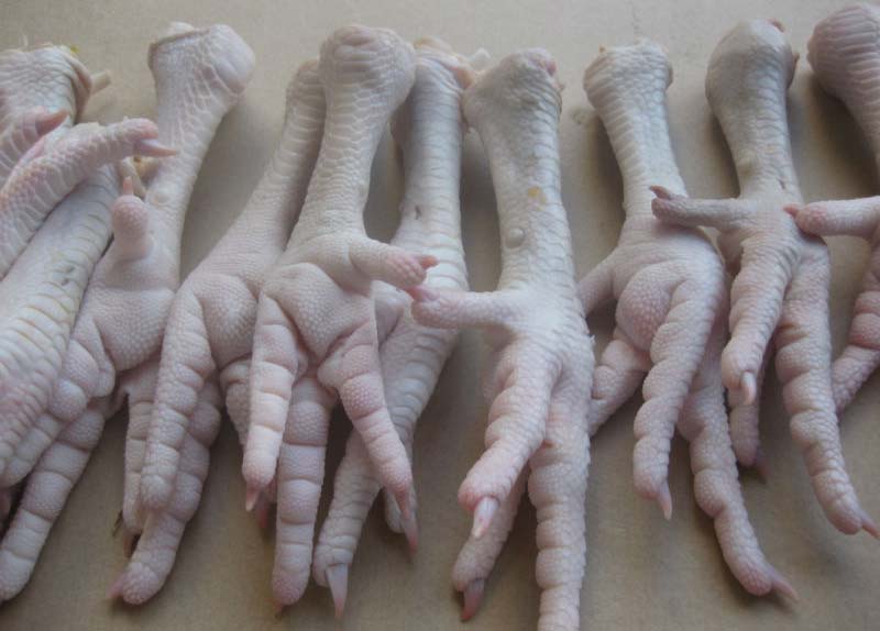 Grade a Frozen Chicken Feet Available for Shipment Worldwide