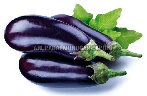 fresh brinjal