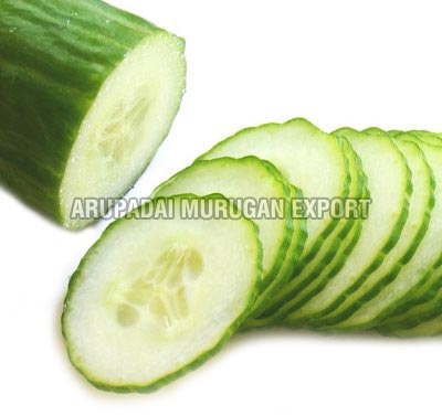 fresh cucumber