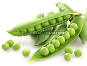 Fresh Green Peas