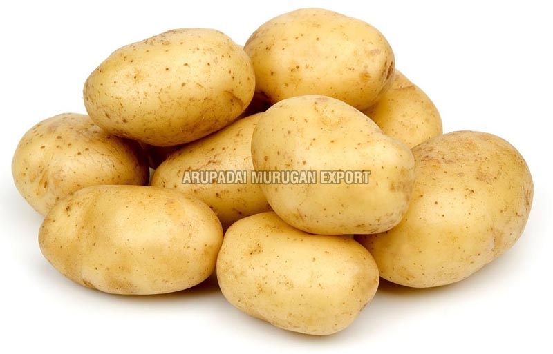 fresh potato