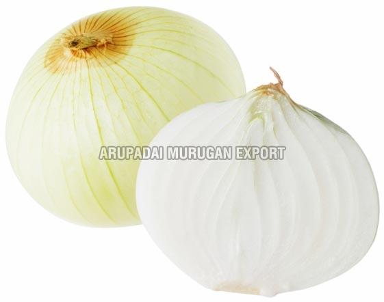 Fresh White Onion