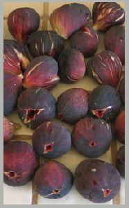 fig