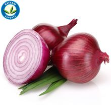 Natural Onion Oil
