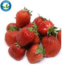 Strawberry Seed Essential Oil
