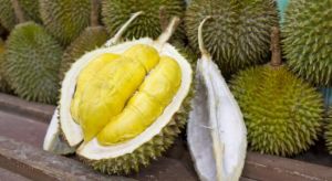 Fresh Durian