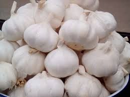 Organic fresh garlic, Color : white, Form : Whole for Food