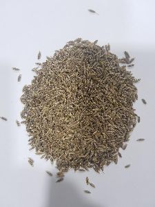 Cumin seeds 99%