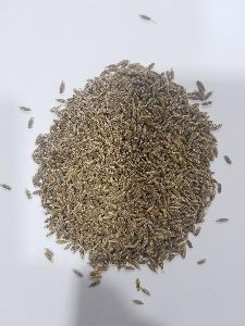 Cumin seeds Singapore 99%