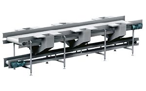 Sorting and Fruit Cutting Conveyor