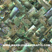 Green Abalone Sea Shell Mosaic Tile