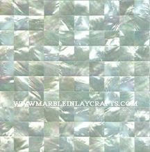 Handmade Mother Of Pearl Flooring and Borders Tiles