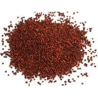 red millet seed