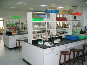 Material Testing Labs & Services