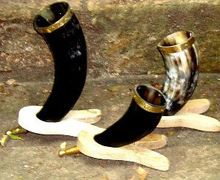 Tiplop Viking Drinking Horn