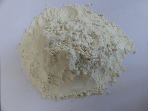 Tamarind Kernel Powder (TKP)