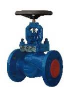 globe valve