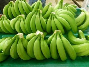 Fresh Cavendish Green Banana