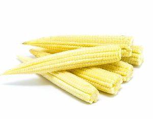 IQF Baby Corn