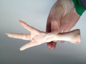 Brazilian Chicken Feet, Condition : Frozen