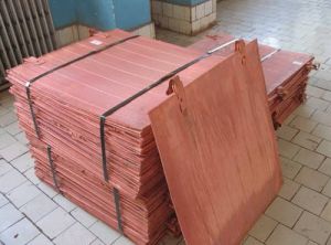 copper cathodes,  Material : Copper